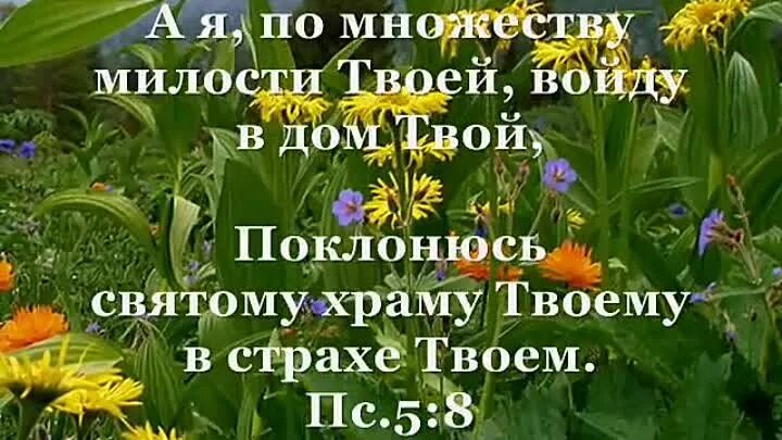 Поклонюсь святому храму твоему в страхе твоем.. Верьте в Божью милость. Милости Божьей полна вся земля. Войду в дом твой Поклонюсь святому храму твоему.