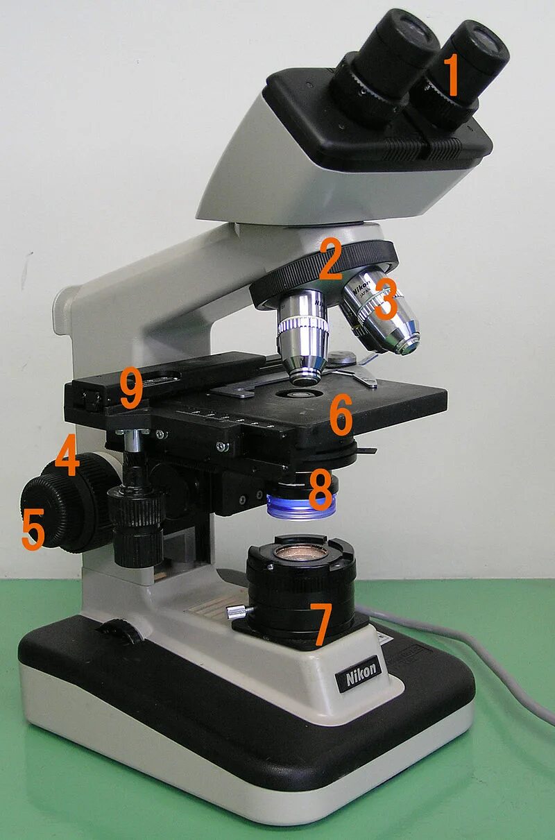 Optical microscope