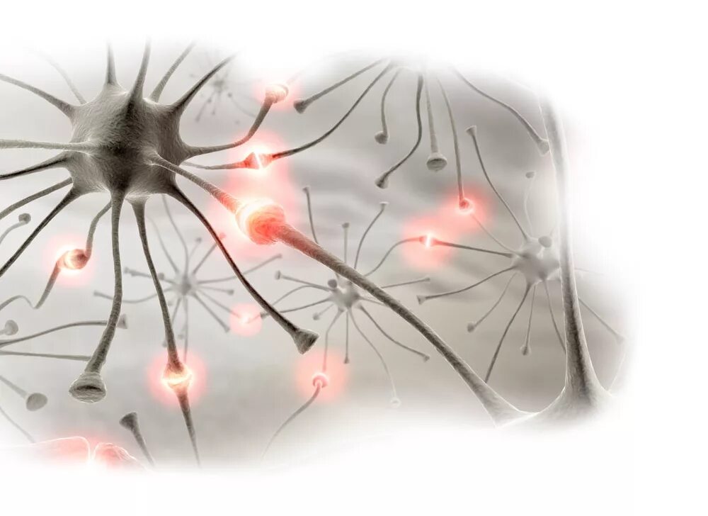 эпилепсия нейроны. клетки головного мозга. нейронная сеть головного мозга. скопление нейронов. эффект нейронов.