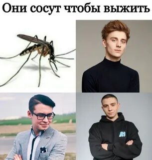 Там подходит