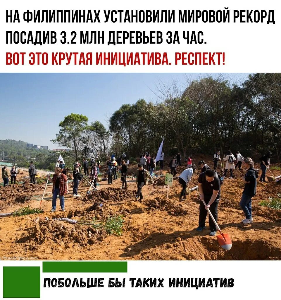 День посадки деревьев. День посадки деревьев в китае. день посадки деревьев в намибии. высадка деревьев в бразилии. высадка деревьев в африке.