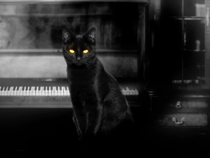 The Cat Lady игра. Черная кошка на рояле. Кошка на пианино. Черный кот из игры. Черная кошка играть