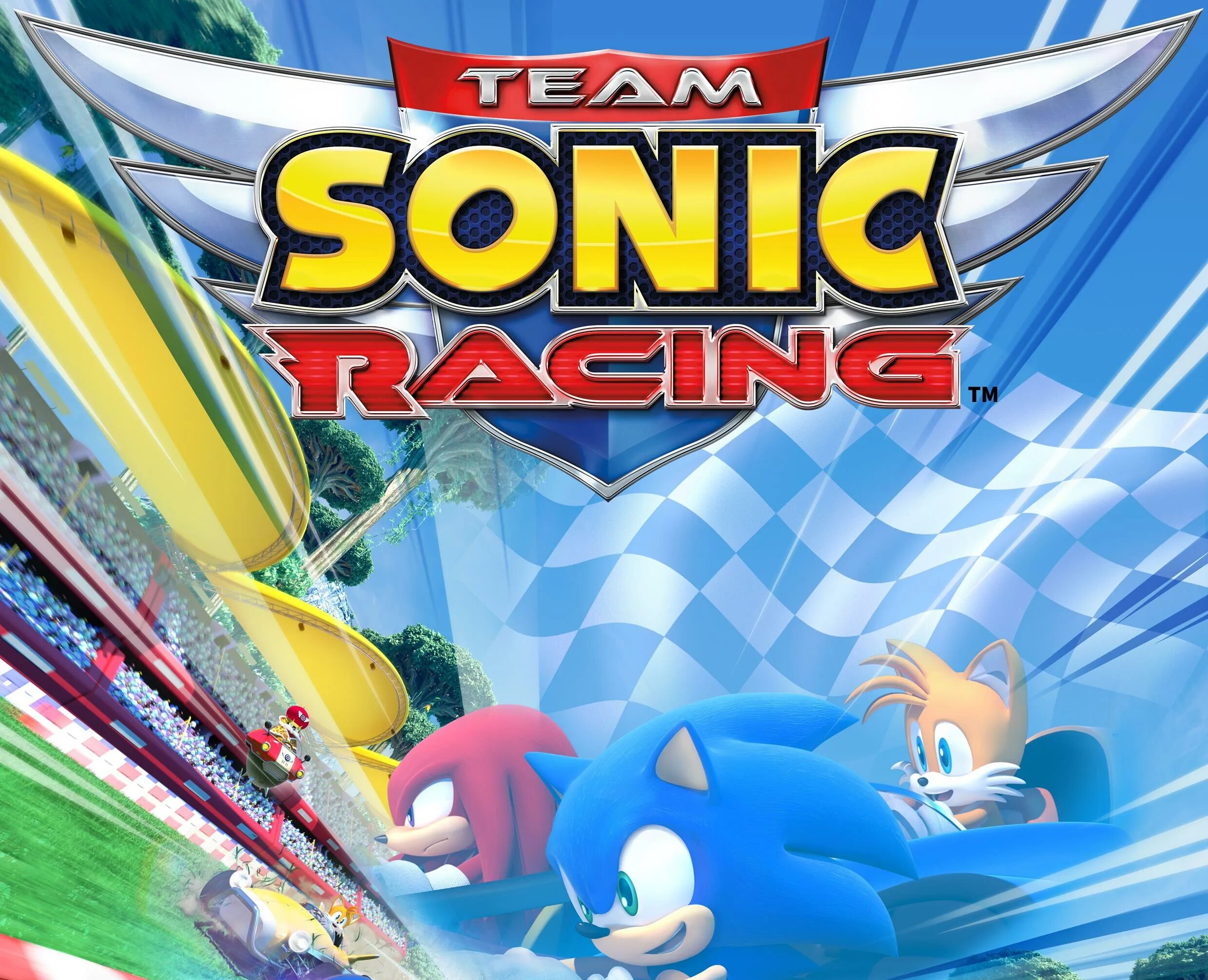 Team Sonic Racing (ps4). Team Sonic Racing обложка. Соник на ПС 4. Team Sonic Racing Xbox.