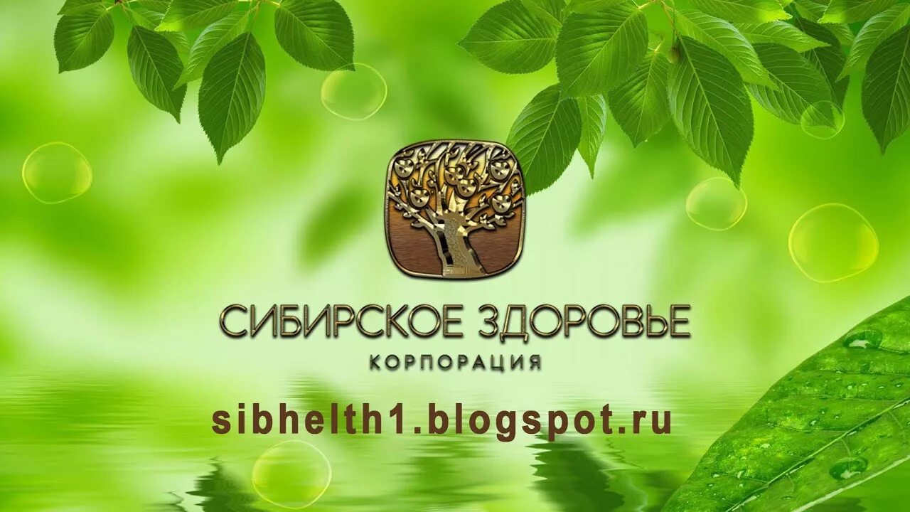 Сайт корпорации сибирское здоровья. Сибирское здоровье. Визитка Сибирское здоровье. Сибирское здоровье логотип. Сибирское здоровье баннер.