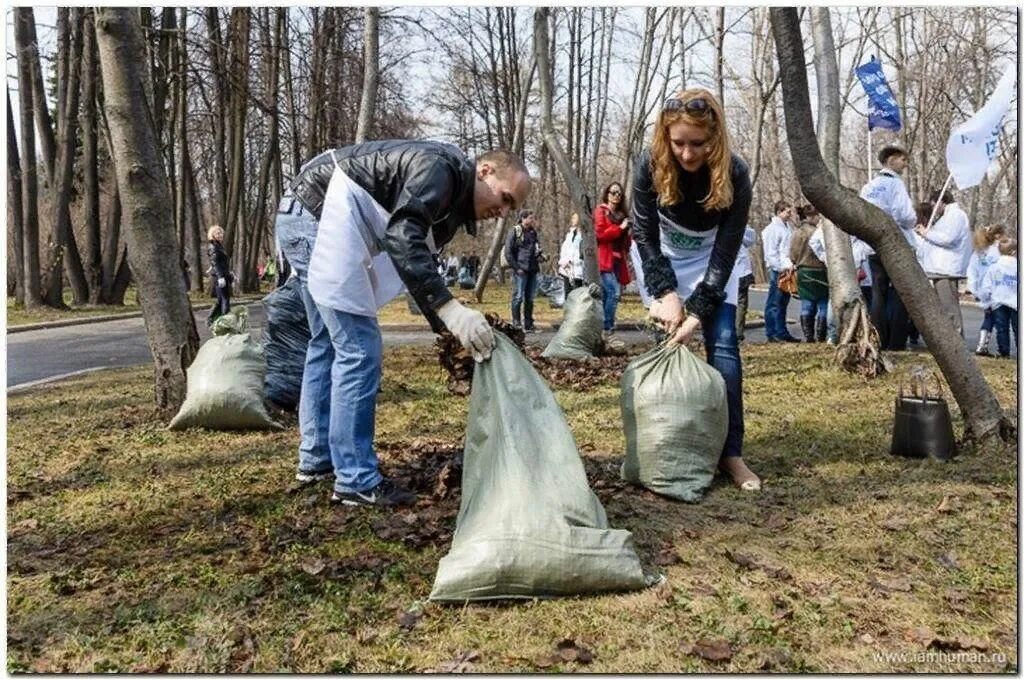 День земли фотографии. Отмечаем день земли. Экологические мероприятия. Традиции дня земли. Экологические дни.