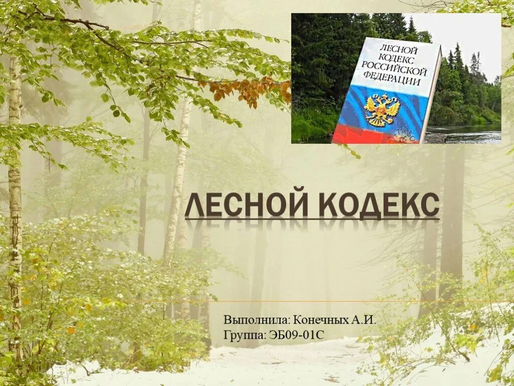 Лесное законодательство рф. Лесной кодекс. Лесной кодекс Российской Федерации. Лесной кодекс книга.