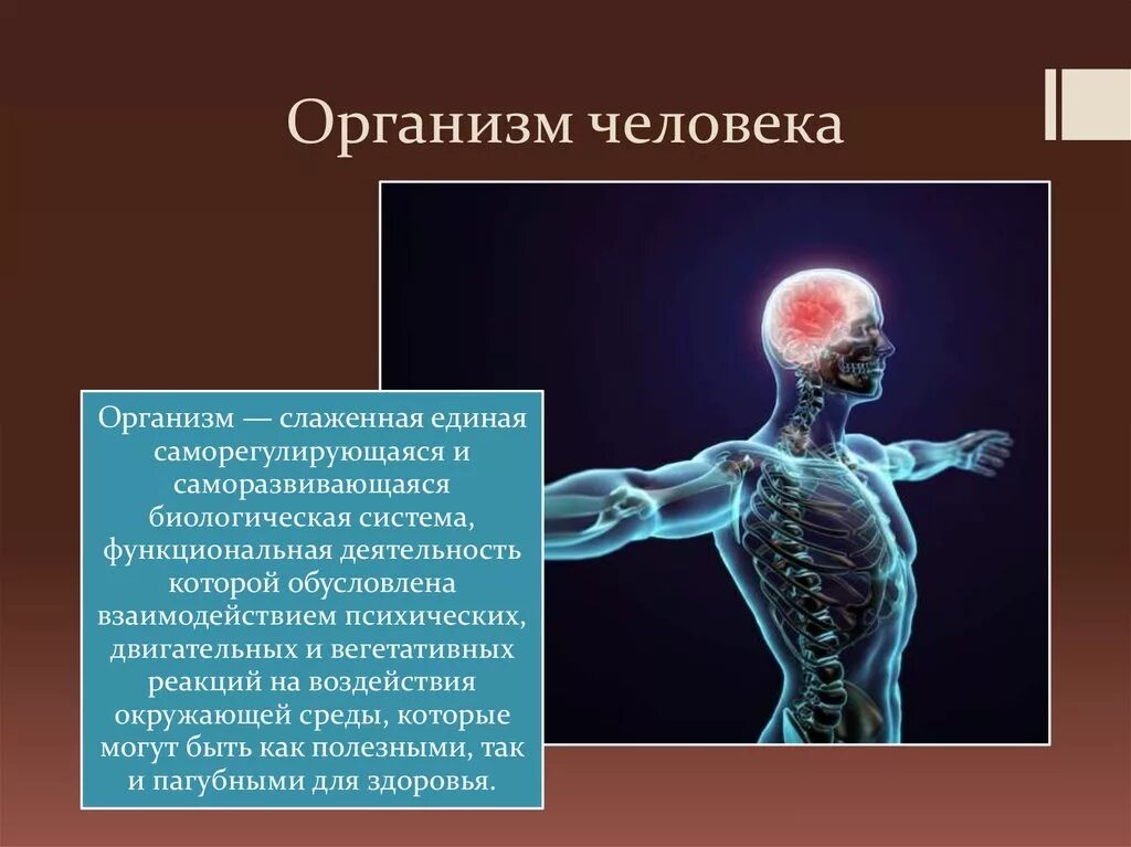 Собой и представлять собой единое. Организм человека. Организм человека презентация. Организм человека единое целое. Биологический организм.