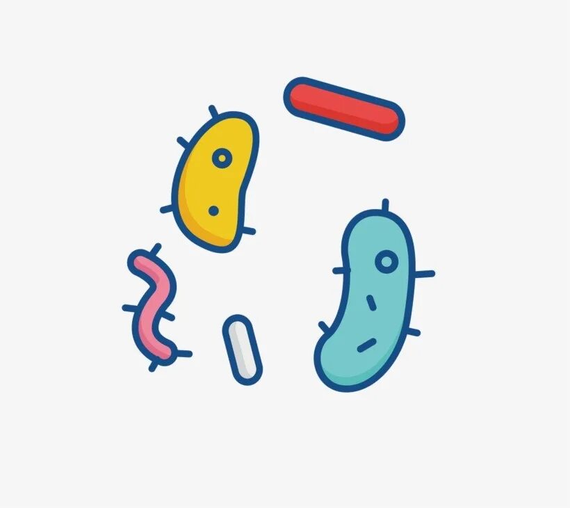Бактерия 1 играть. Бактерии без фона. Бактерии нарисовать. Бактерии на прозрачном фоне. Микроорганизмы без фона.