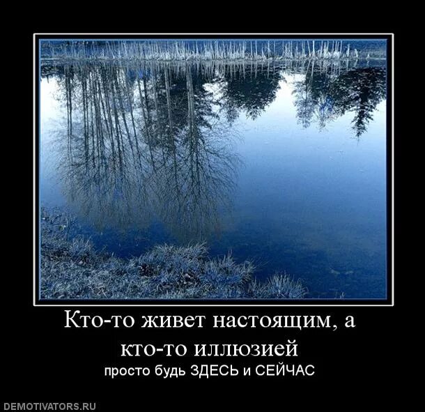 Здесь проживает. Живи здесь и сейчас цитаты. жить надо здесь и сейчас. жить здесь и сейчас цитаты. статус живите здесь и сейчас.
