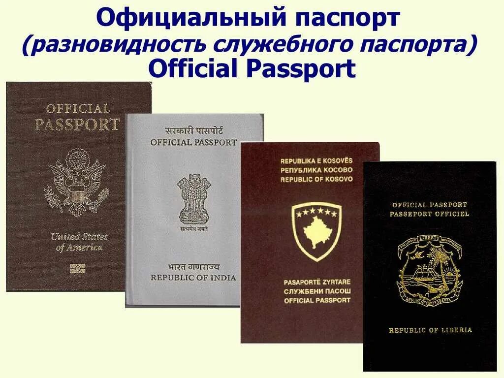 Основные виды паспортов