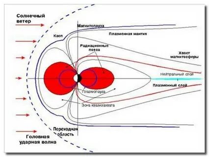 Касп