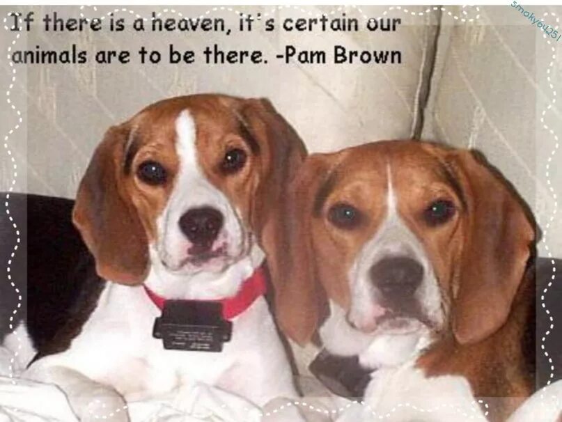 It is certain to be
