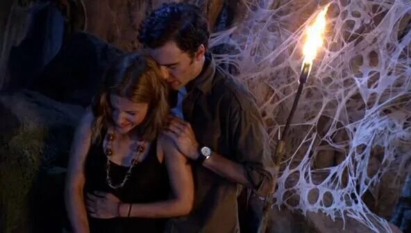 паутина 2007. паутина 2007.