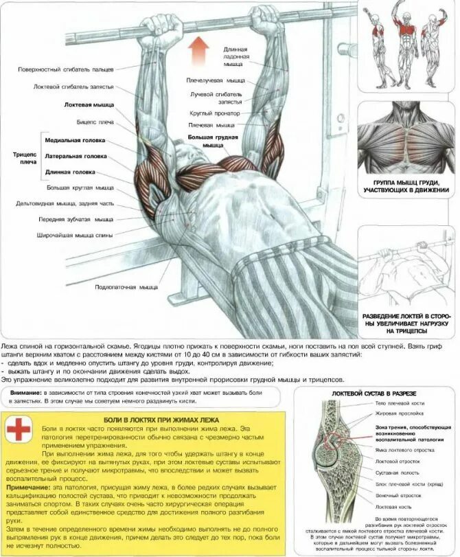 Нагрузка на группы мышц. Тренировка для всех групп мышц. Нагрузка на группы мышц. Какие мышцы работают при уборке снега лопатой. Альпинист упражнение какие мышцы задействованы.