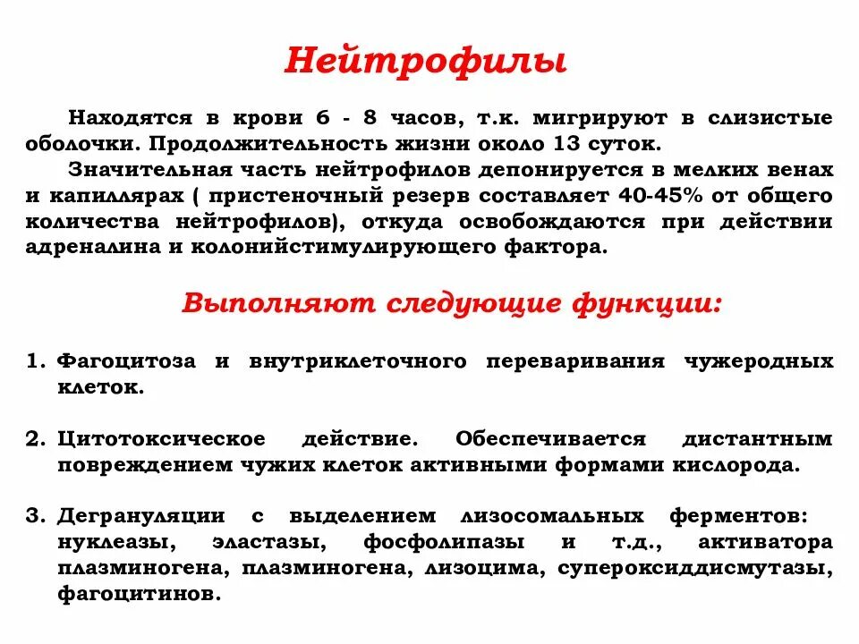 В очаге острого воспаления нейтрофилы секретируют. Функции нейтрофилов. Основные функции нейтрофилов. Функции нейтрофилов в крови. Функции нейтрофилов физиология.