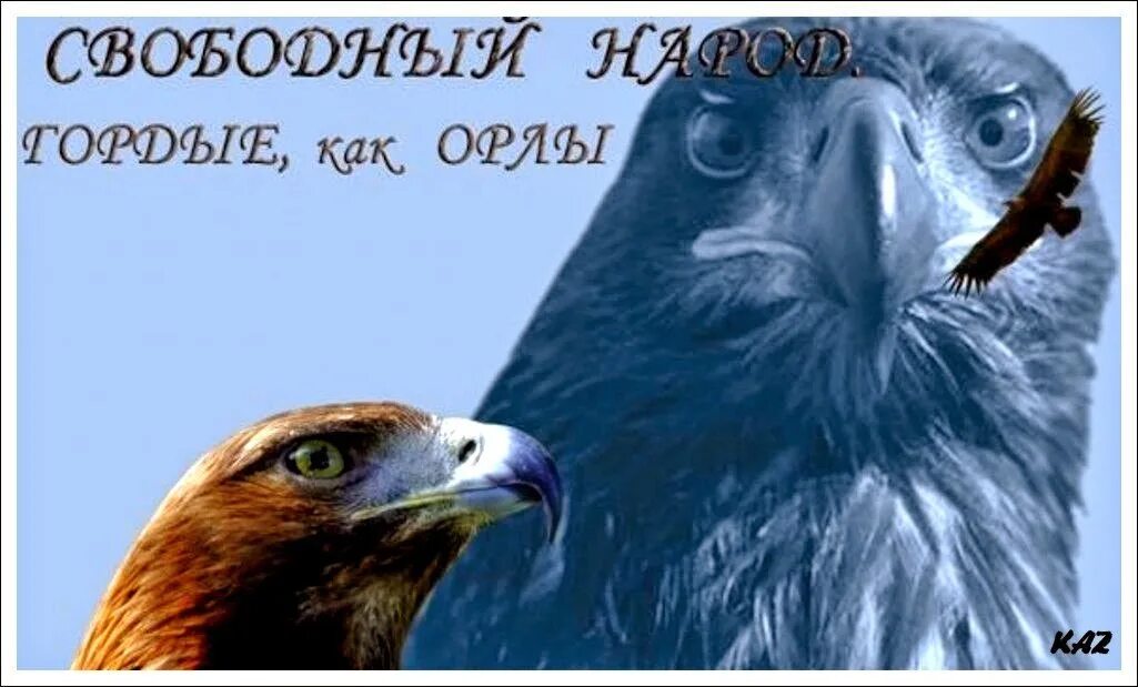 Ты гордый орел с огромными. Беркут и белоголовый орлан. Орел картина. Гордый орел песня. Орлан белоголовый клюв.