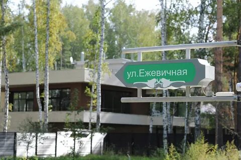 Серебряный лес