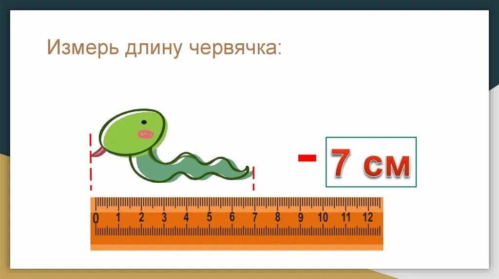 Какой единицей длины измеряется червяк. Картинка червячка в длину для детей. Big small червяк на линейке. Картинки линейной мерки червячки. Звук червяков