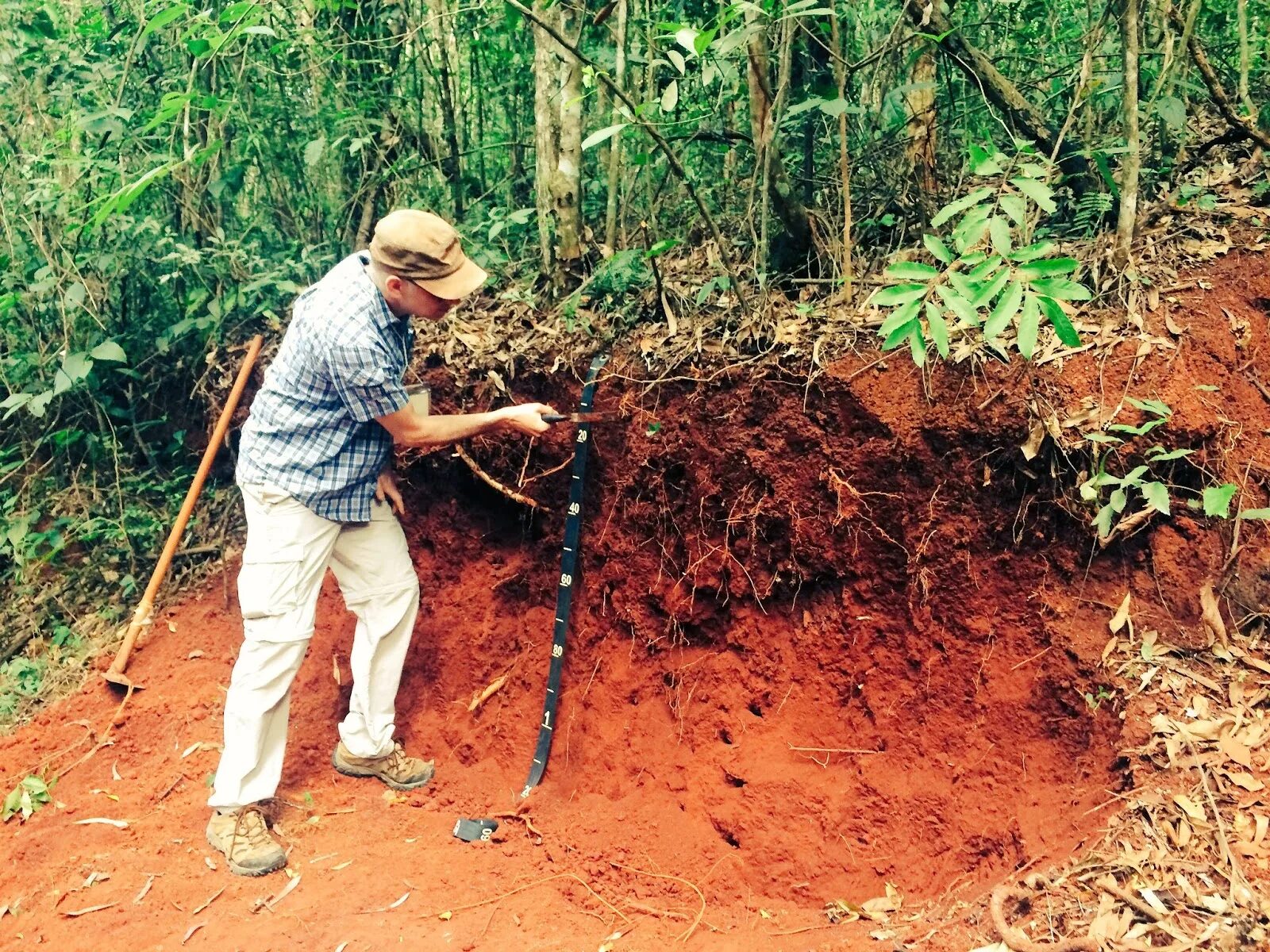 Вырубка тропических лесов в бразилии. Красные ферраллитные почвы бразилии. Гондурас южная америка. Красноцветные почвы терра росса. Вырубка леса в амазонии.