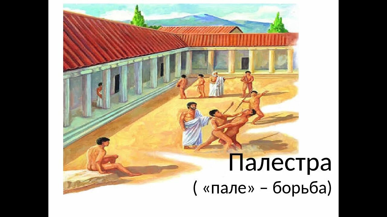 Афинские школы и гимнасии в древней Греции. Афинские школы и гимнасии в древней Греции 5 класс. Школа Палестра в древней Греции. Афинские гимнасии в древней Греции.