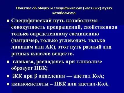 Общий путь