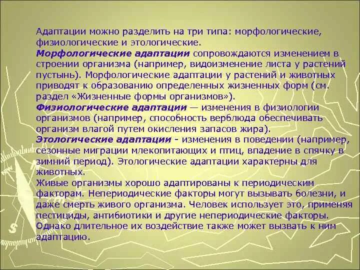 Морфологические адаптации верблюда - Vetgon.ru