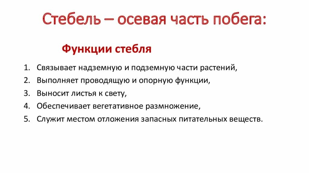 Перечислите функции стебля (побега). Основная функция стебля. Функции стебля 6 класс. Опорная функция стебля кратко. Функции стебля цветка