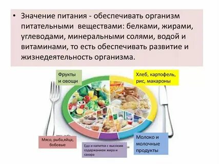 Значение в питании блюд из мяса