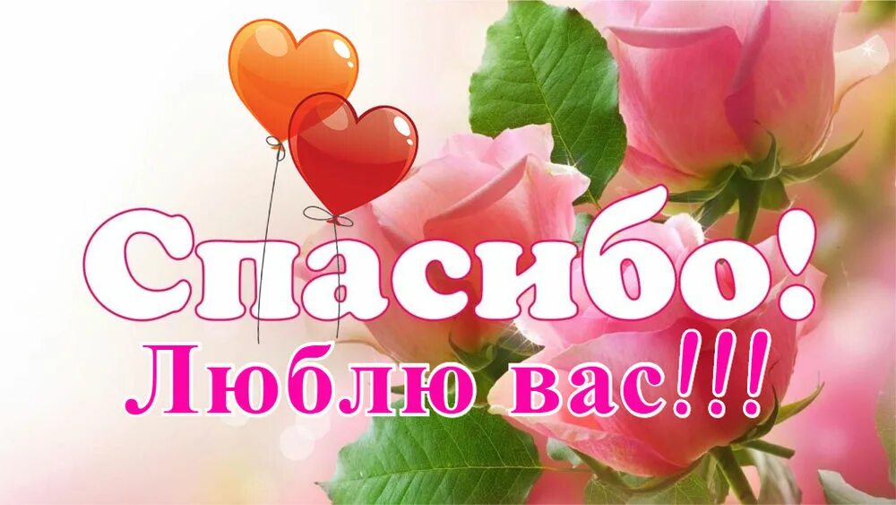 Песня дорогие любимые наши. Спасибо Мои родные. Спасибо Мои любимые. Спасибо Мои родные и любимые. Спасибо люблю.