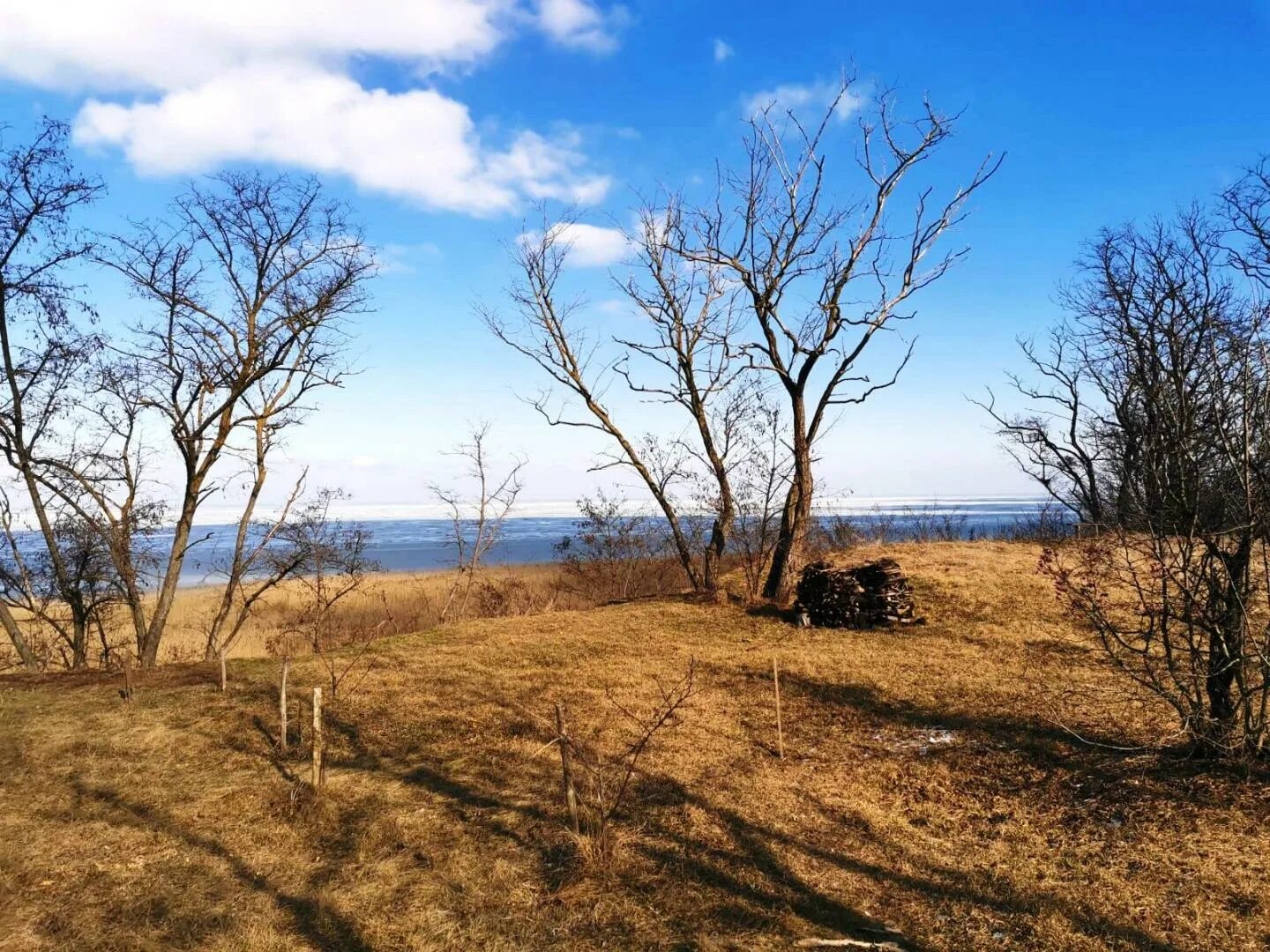 Кущёвский район зеленая роща. Зеленая роща ейский район краснодарский край. Дорога в зеленой роще кущевский район. Хутор зеленая роща ростовская область. Зубовская роща кущевский район.