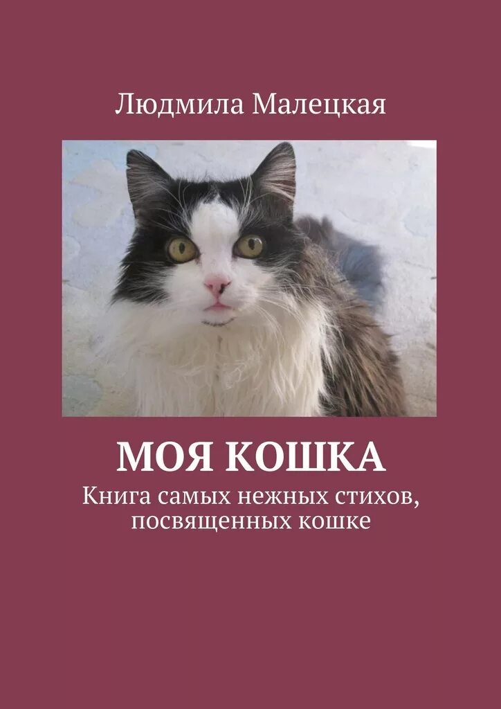 Посвящается кошке лизе картинки