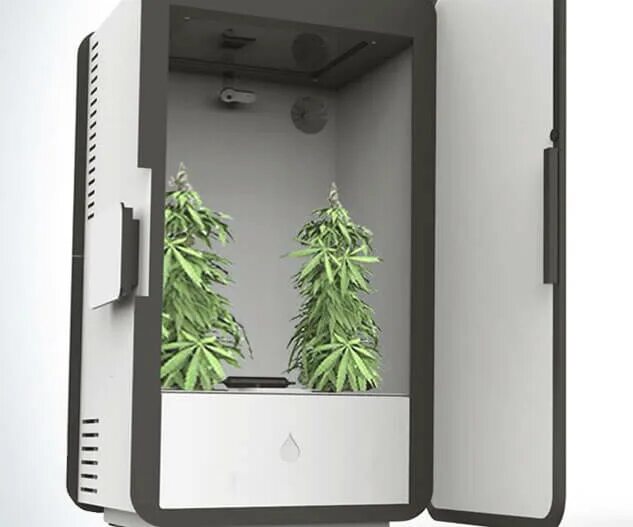 Growbox market 2024. Гроубокс 60 на 60. Гроубокс шкаф. Гроубокс пирамида. Стелс гроубокс в пк.
