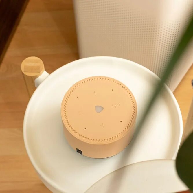 алиса капучино