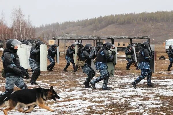 Беспорядки в якутии сегодня. Тактико-строевое занятие. сводный отряд при пресечении массовых беспорядков. ярославль уфсин отработка тактико. уфсин массовые беспорядки тренировка.