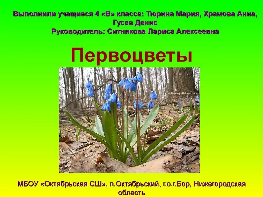 Сохранение исчезающих видов растений