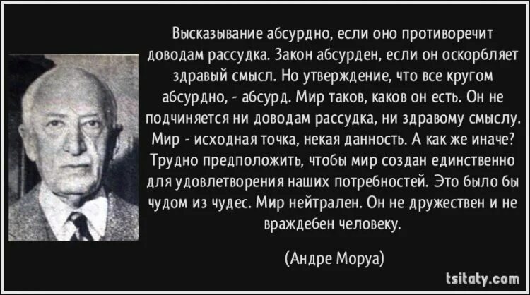 Фразы про тупость людей. Глупые и смешные цитаты. Абсурдные утверждения. Глупые цитаты известных людей. Глупые цитаты.