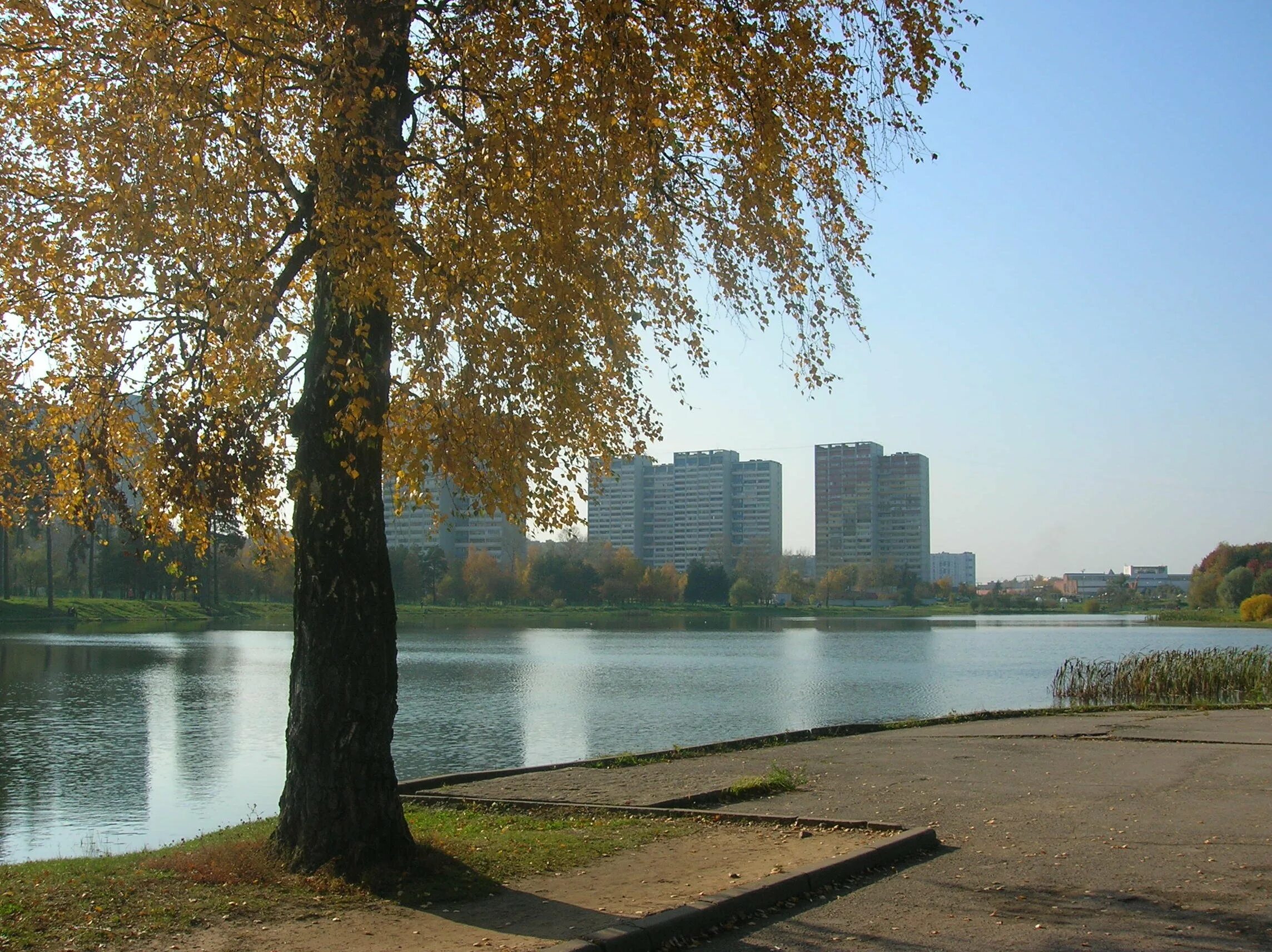 В москве есть озера. Школьное озеро Зеленоград. Школьный пруд Зеленоград. Школьное озеро (ЗЕЛАО). Озеро черное (город Зеленоград, 6-й микрорайон).