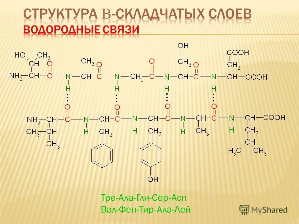 Ала мет. Трипептид АСП вал фен. Фен АСП АРГ трипептид. Трипептид: гли-вал-сер.. Вал АСП ала трипептид.