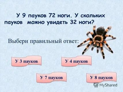 Сколько ног стоит комнате
