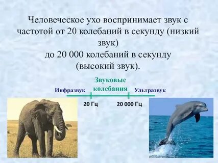 Ниже секунды