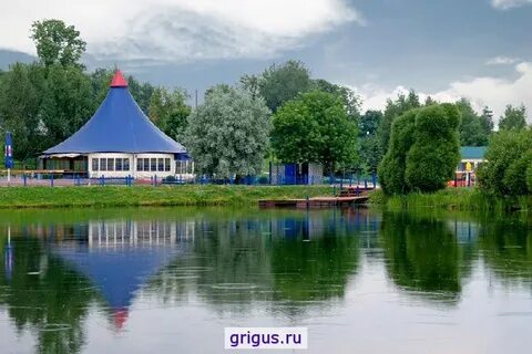 Дмитровское 171