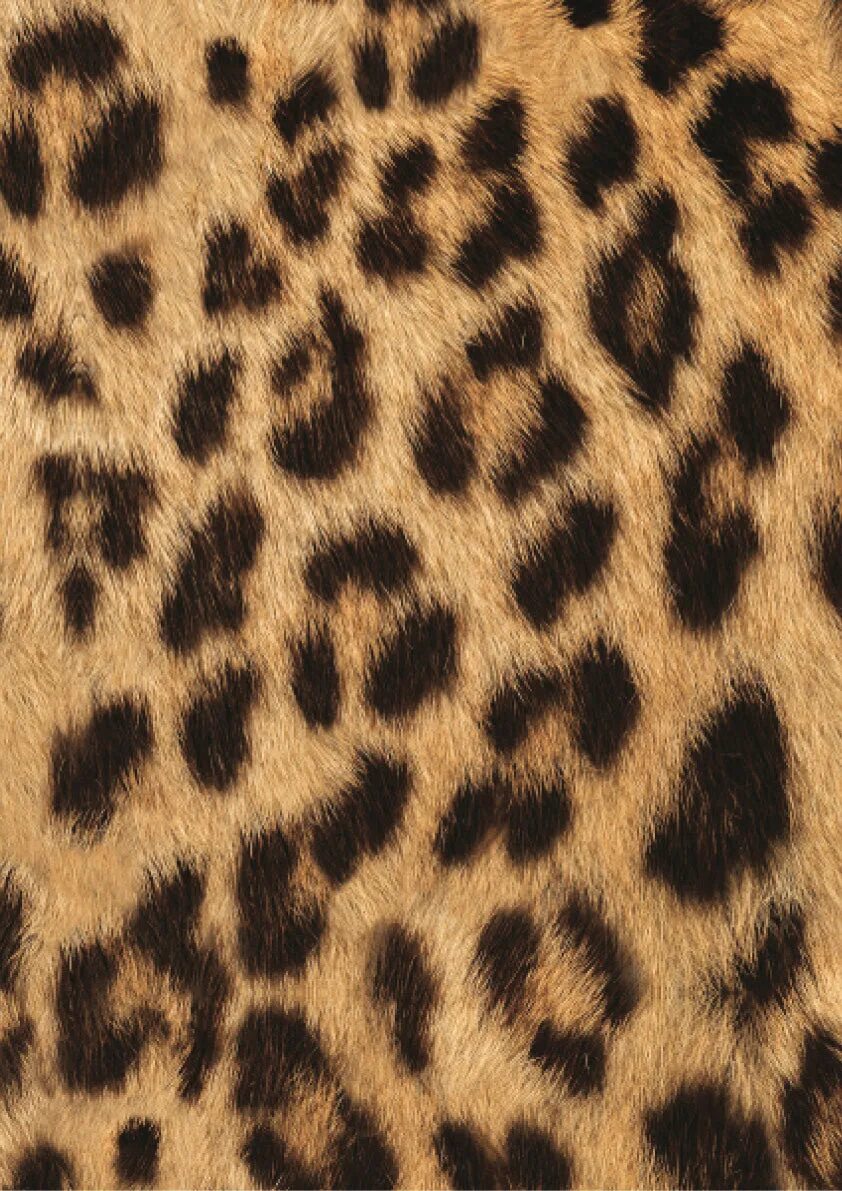 Платье роберто кавалли леопард. Отзывы leopard. Отзывы leopard. Футболка mountain с луной. Мягкая игрушка икеа моррхор леопард.