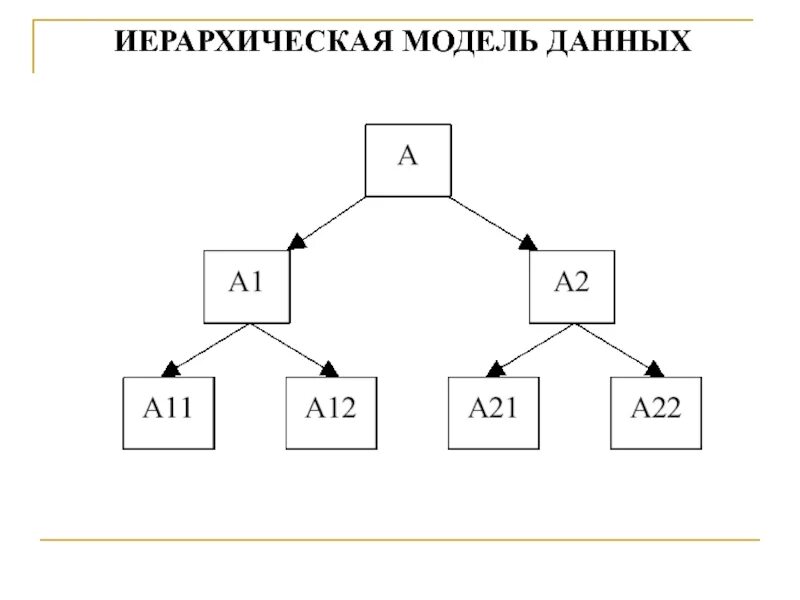 Иерархическая модель базы данных. Иерархическая база данных схема. Схема иерархической модели базы данных. Иерархическая модель данных БД. Иерархического способа организации данных