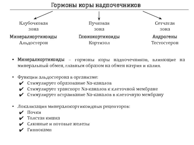 Гормоны пучковой зоны коры надпочечников. Гормоны клубочковой зоны коры надпочечников функции. Ормони пучковой.зони надпочечник.