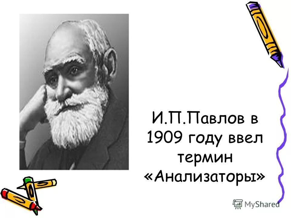 Термин анализатор ввел. Термин анализатор был впервые введен в физиологию. И п павлов анализатор. Термин анализатор был впервые введен в физиологию. Кто ввел понятие анализатор.