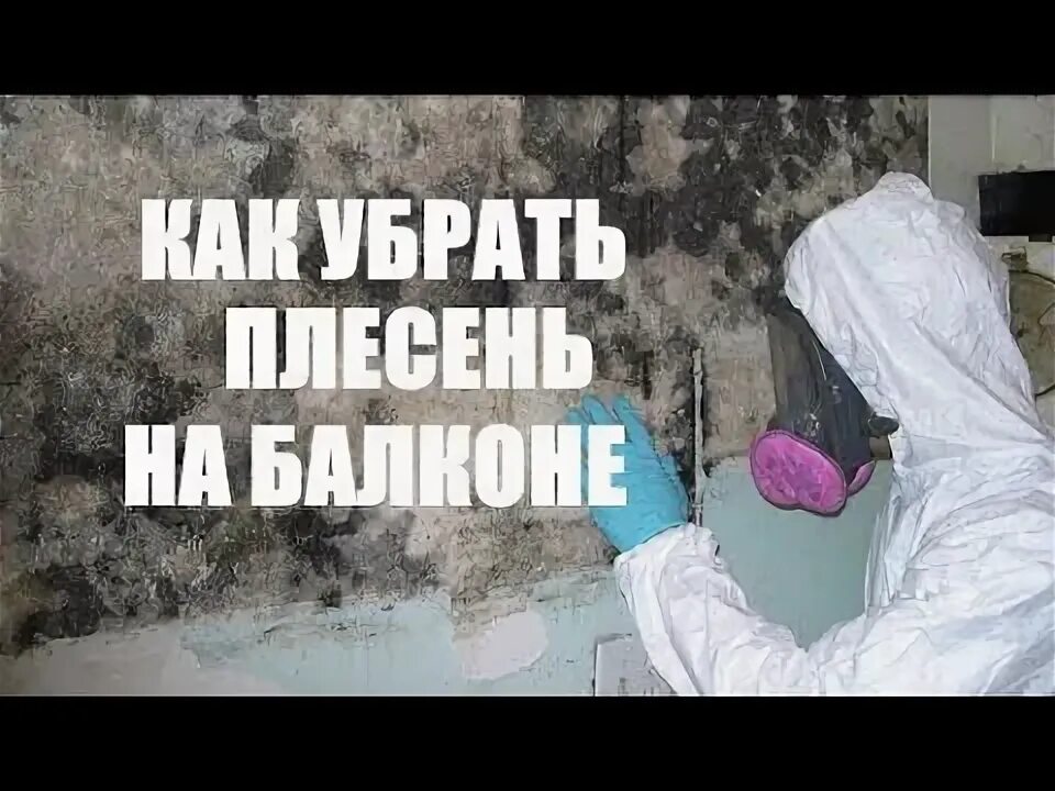 Как избавиться от грибка в доме навсегда