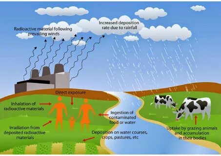 Nuclear environment
