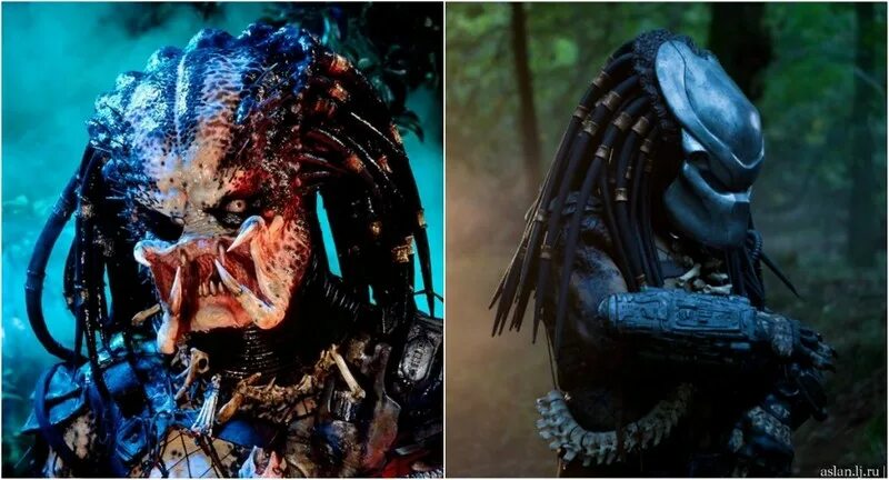Цитаты про хищников. Хищник predator. Откуда взялся хищник. Откуда взялся хищник. Яутжа хищник.