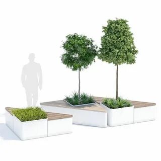 Plant 3 forms