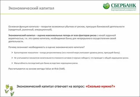 Экономический капитал